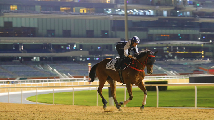 商報杜拜直擊 | 蔡約翰露面睇操講好眼光 韋達再試將王