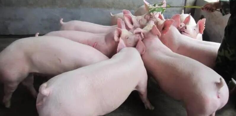 國家統計局：3月中旬11種產品價格上漲 37種下降 