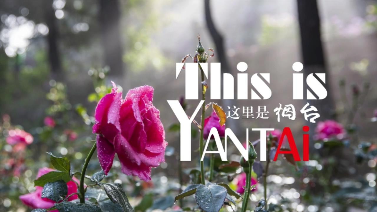 煙台春色 詩意盎然