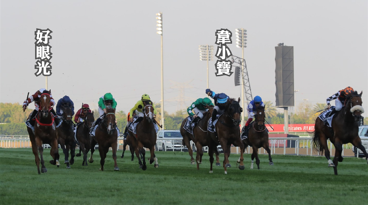 有片 | 【商報杜拜直擊】阿喬斯短途錦標好眼光拚入殿軍 伍鵬志：韋小寶跑第五非常出色