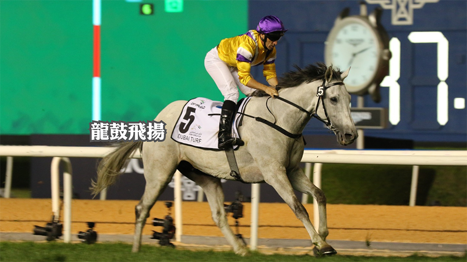 商報杜拜直擊｜龍鼓飛揚跑第12名 諾斯勳爵三連冠 戴圖理完美告別