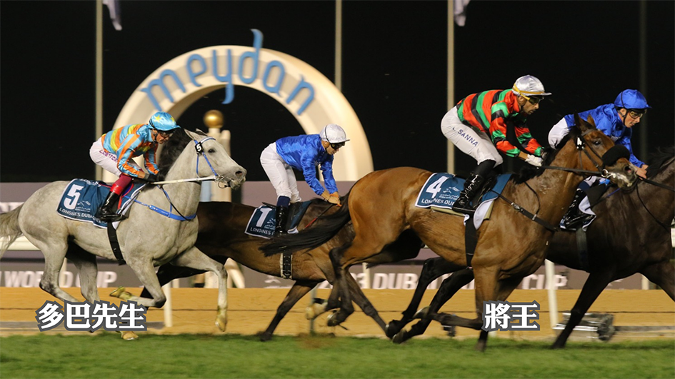 商報杜拜直擊｜將王第八 多巴先生包尾 日本馬王春秋分大熱捧盃