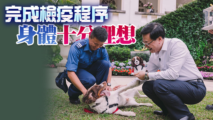 有片｜李家超「宴請」赴土耳其搜救犬：合作無間的工作拍檔