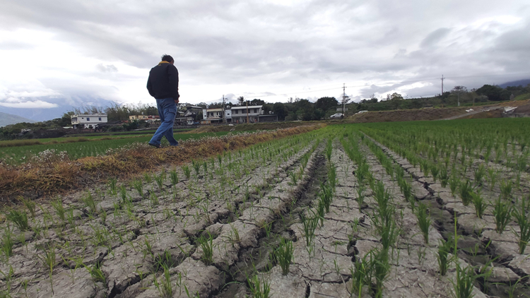 蔡英文為台灣旱情祈雨有效？網友：把百姓當笨蛋