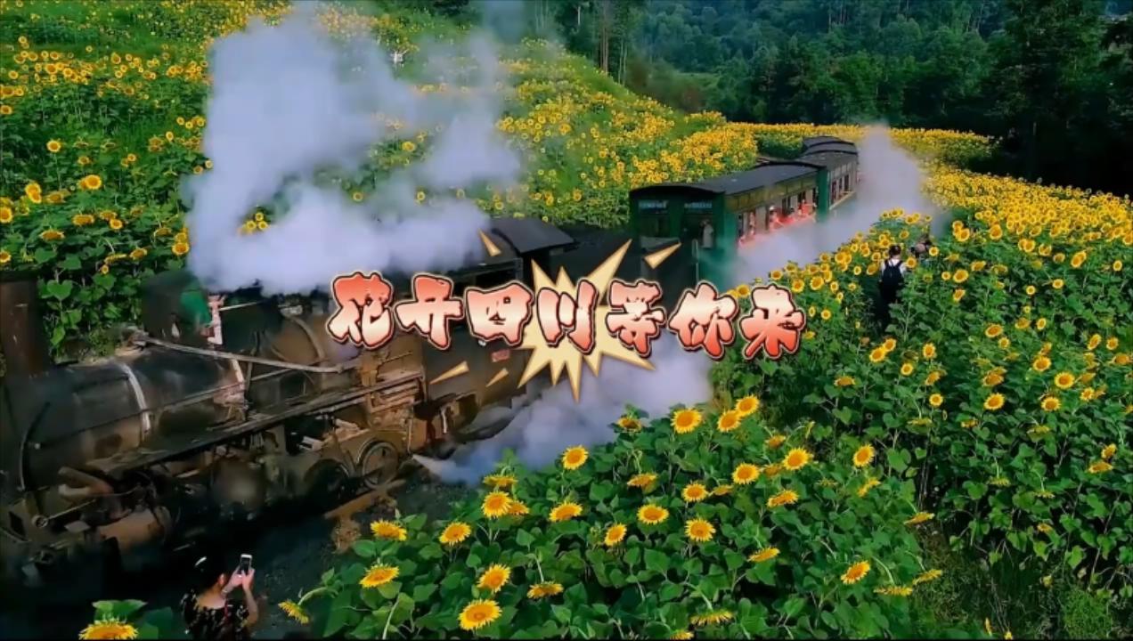 春已至花已開 花開四川等你來