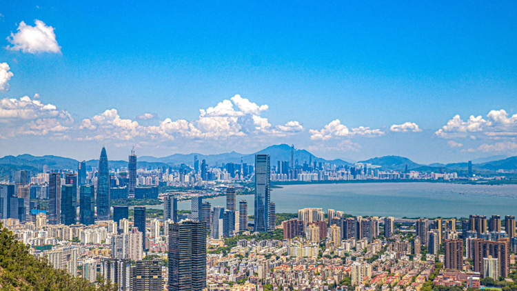 6圖看深圳商事主體歷史性跨越