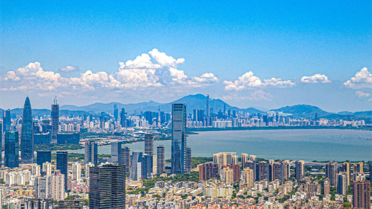 如何煉成商事主體第一城？深圳這樣給出答案