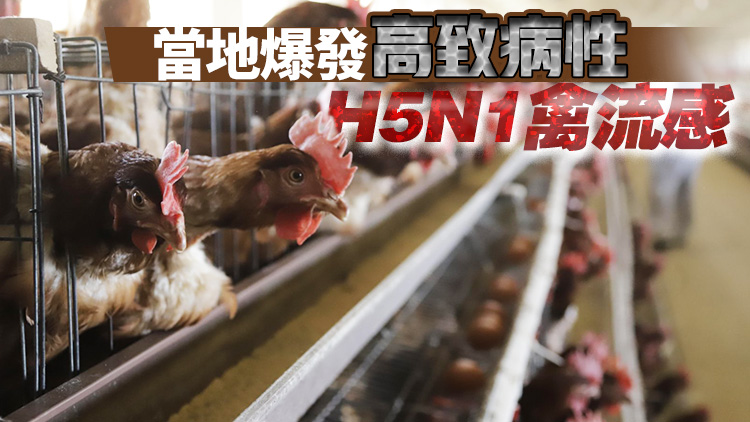 本港暫停進口智利和美國部分地區禽肉及禽類產品