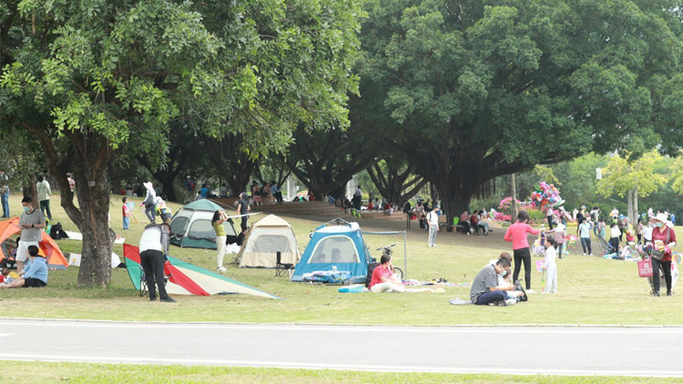 公園露營帳篷區數量翻倍 深圳市民共享公園綠地開放成果