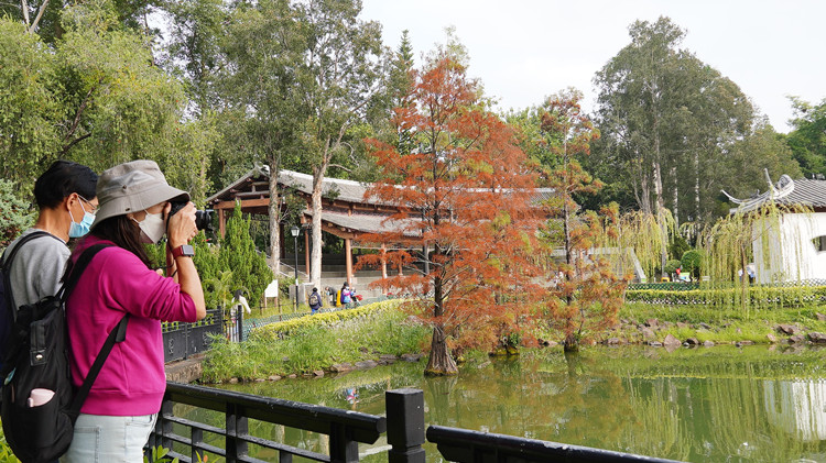 圖集丨北區公園賞亭台樓閣之美