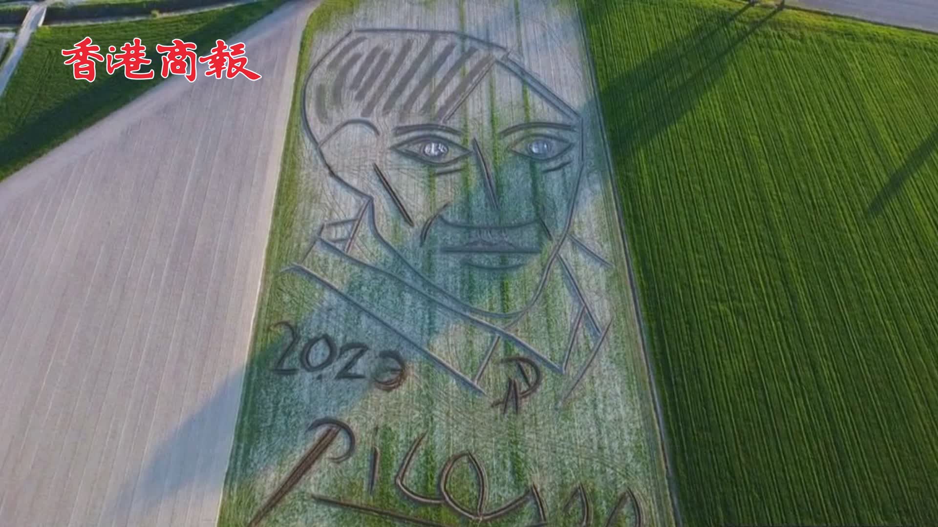 有片 | 紀念畢加索逝世50周年 意大利一藝術家用拖拉機繪巨幅畢加索畫像