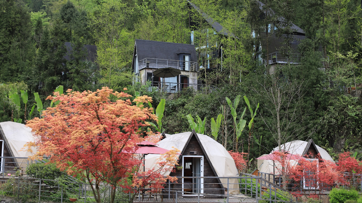 回歸自然重返童年  在安州暢享「最美人間四月天」