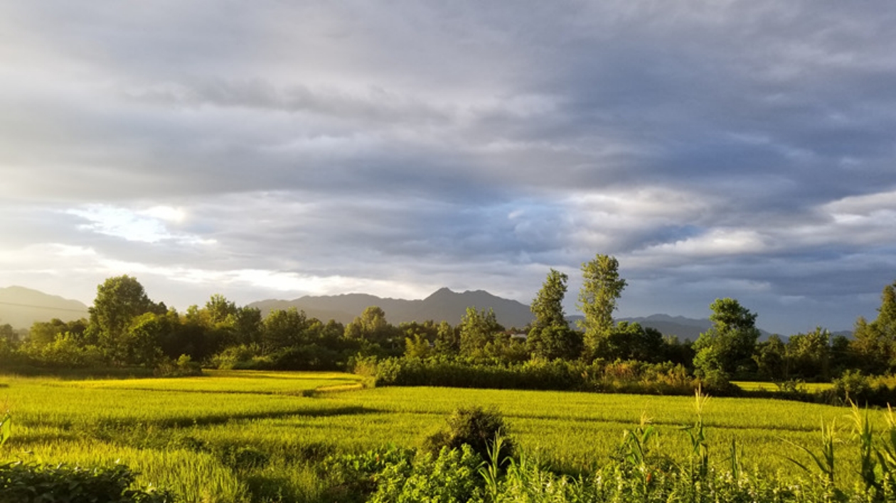 皖黟縣：農文旅「融」出好「豐」景