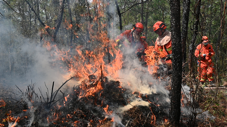 雲南玉溪山火全部撲滅 火場順利實現合圍