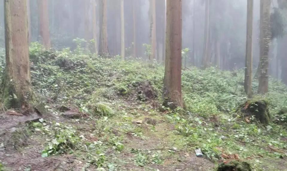 四川什邡一林場發現3名死者 警方通報均為服毒自殺