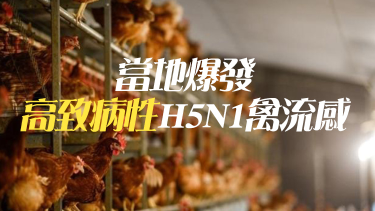 本港暫停進口美國和英國部分地區禽肉及禽類產品