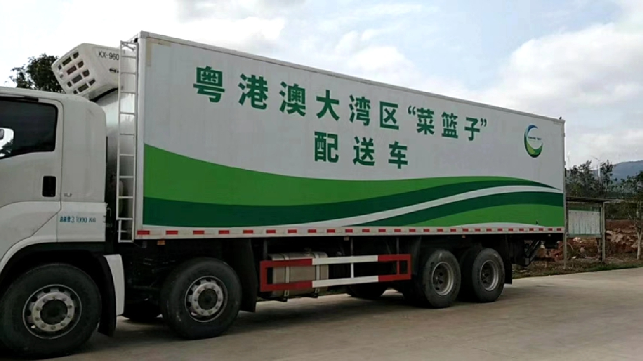 湘品湘造 閃耀世界| 江華推動蔬菜產業深度融入大灣區