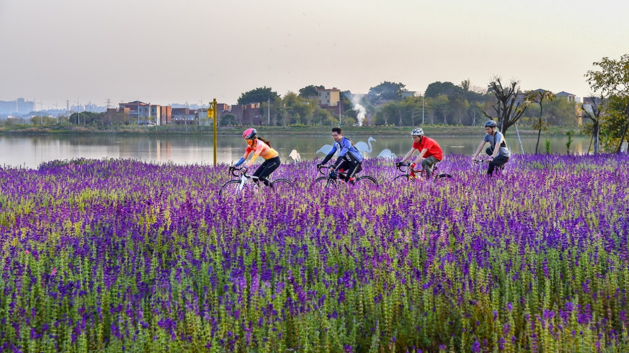 廣東「碧道鐵三」首場賽事成功舉辦