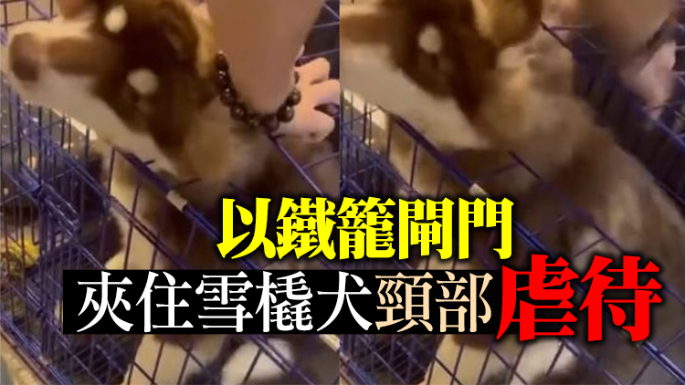 涉殘酷對待雪橇犬 22歲男子被捕