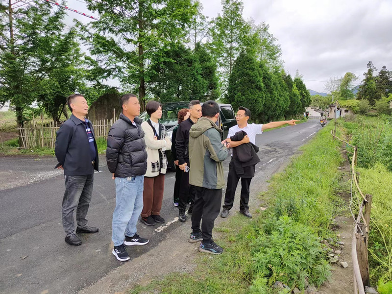 「黟起談·謀發展」  皖碧陽鎮優營商見真招