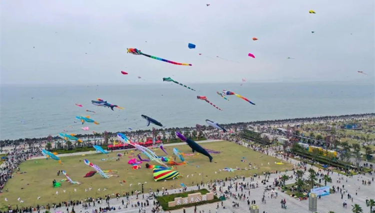 有片 | 「去不了淄博燒烤，我們就去南澳島」