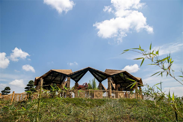 四川周邊游好玩法丨共赴賞花之約