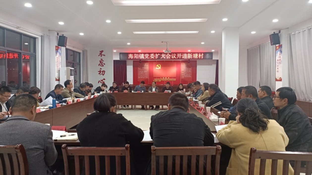 皖休寧縣：農村工作蹚新路 一線把脈解難題