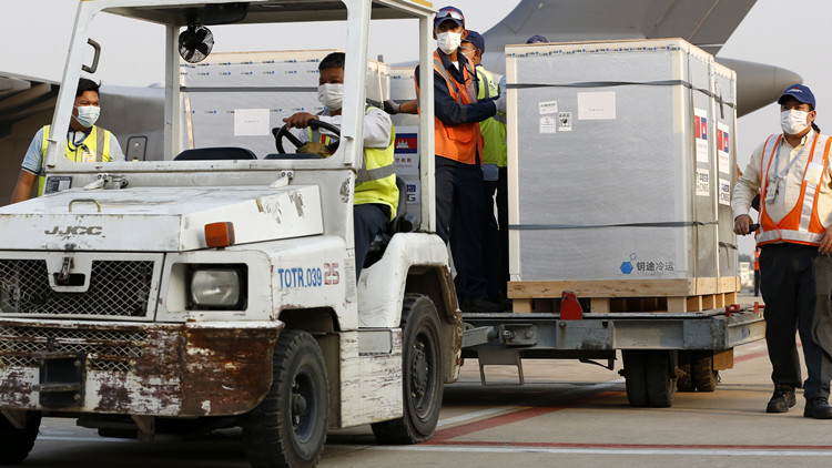 柬埔寨衛生部為中國援柬中醫抗疫醫療隊授勳