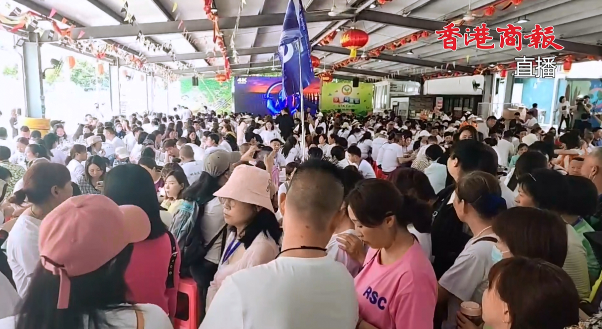 回放｜超級大團到港旅遊 2000人在香港怎麼玩？