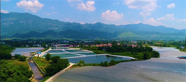 廣安華鎣:文旅融合助力旅遊業高質量發展