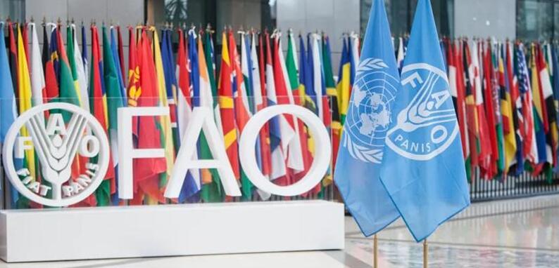 聯合國糧農組織為中國4項全球重要農業文化遺產授牌