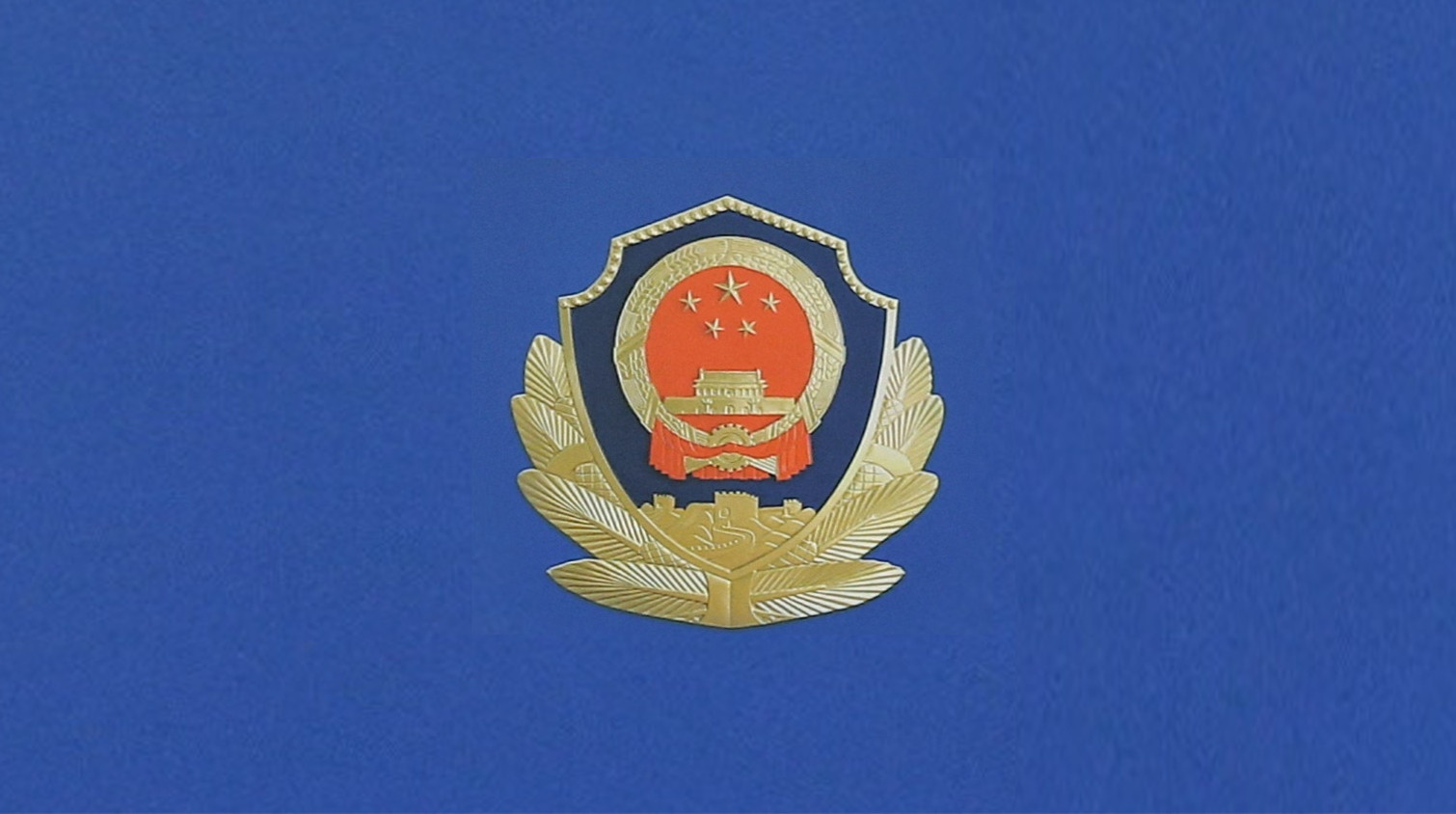 三亞警方深夜通報：砍人者已抓獲歸案