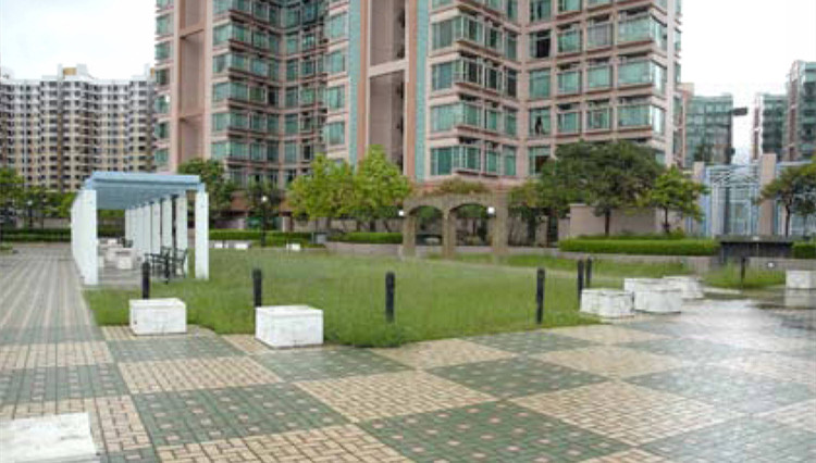 團體指「以老護殘」個案不罕見 冀政府改變支援方法