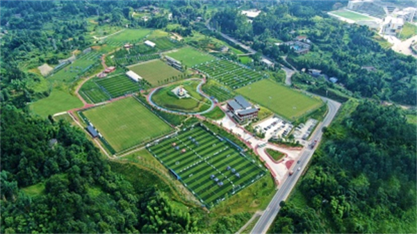 這個夏天，來安逸威遠清涼一「夏」