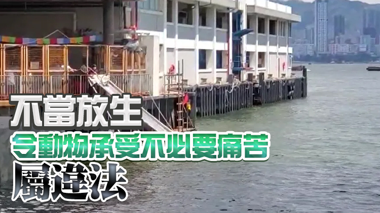 漁護署巡查北角大埔及北區動物放生熱點 無發現殘酷對待動物