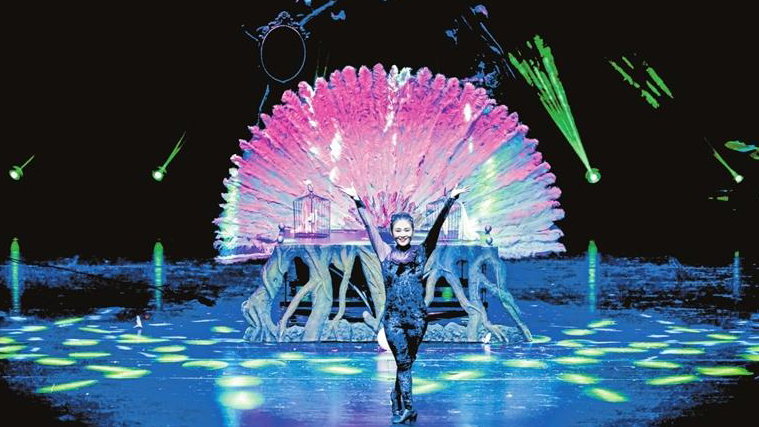 近半年時間為市民奉上多場魔術大餐 第五屆深圳魔術節落幕