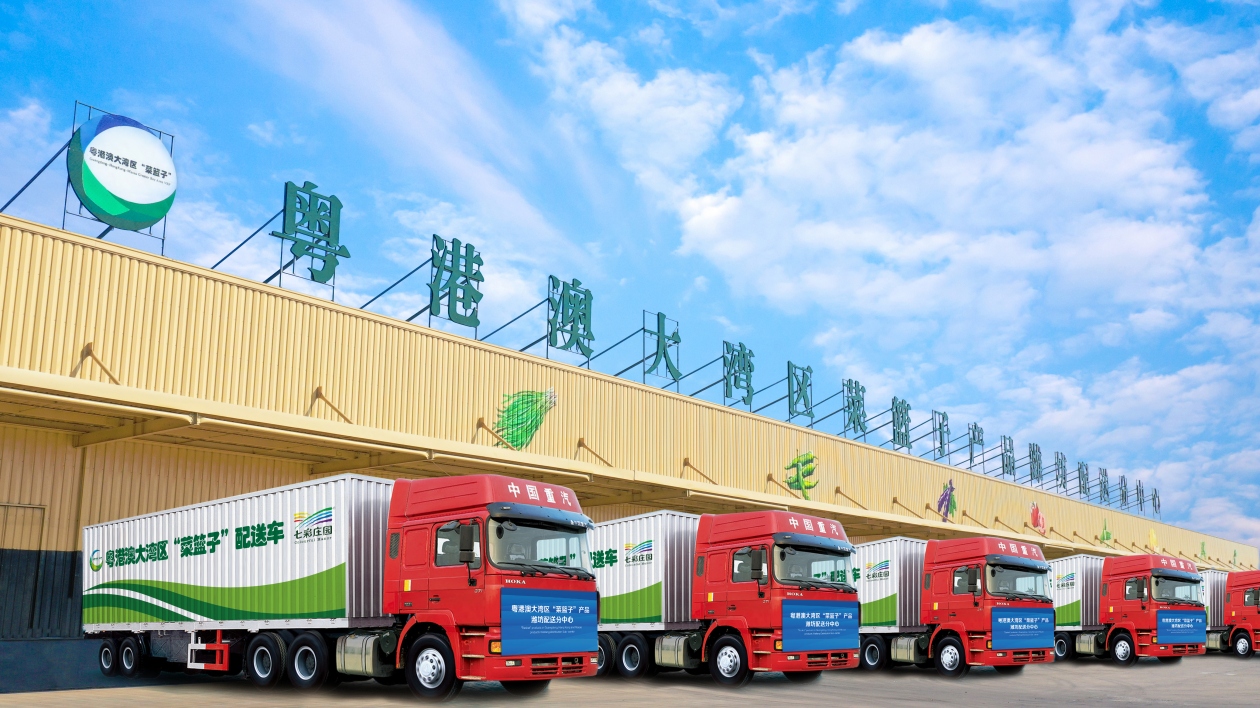 【齊風魯韻耀香江】粵港澳「菜籃子」是如何煉成的