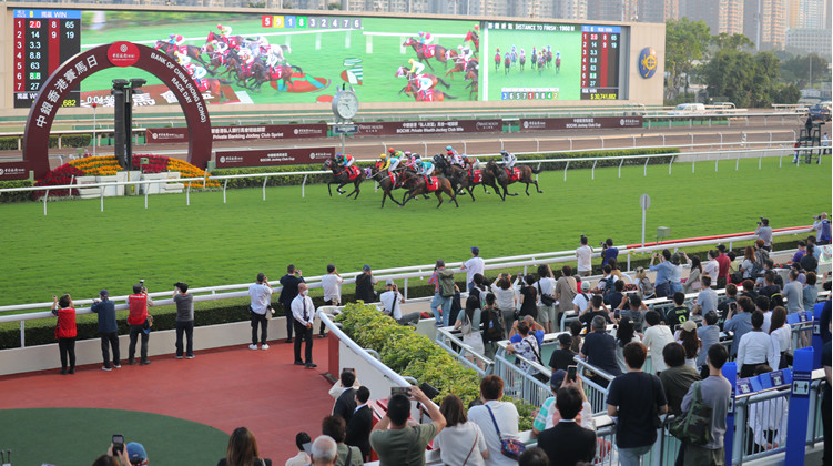 周日上演黃昏馬頭場4時開跑 多寶連環發放巨賞達8000萬元