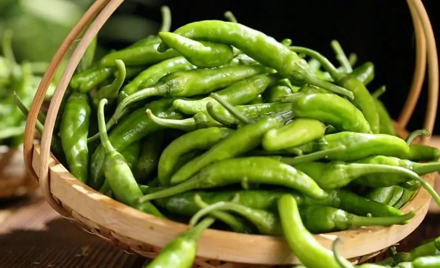 湘品湘造 閃耀世界| 樟樹港辣椒：湖南湘陰的「一代天椒」