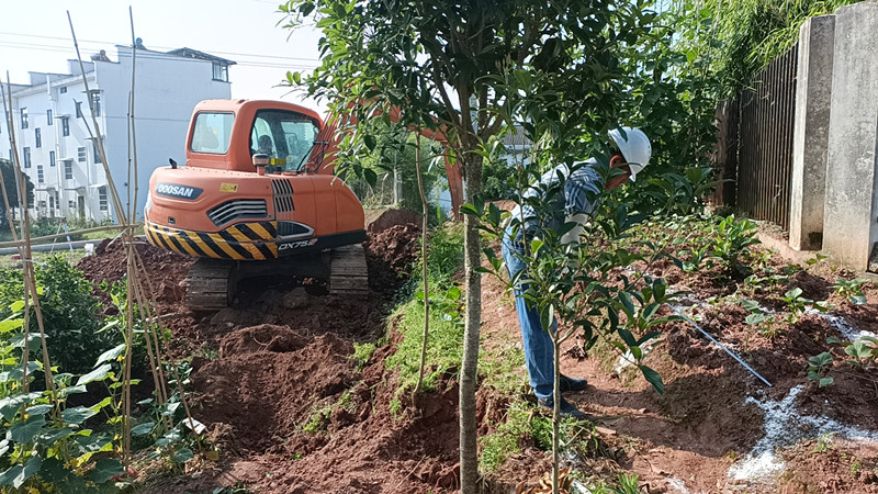 皖屯溪區屯光鎮：安置小區「換裝」暖民心