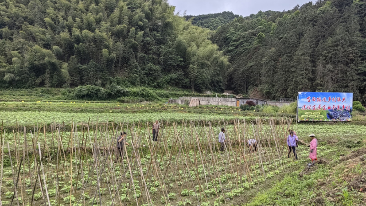 盤活閒置土地  皖黟縣「飛地模式」激活鄉村發展新動能