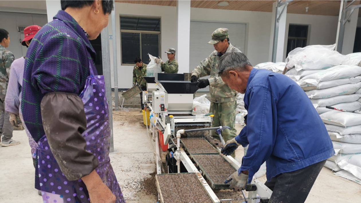 皖黟縣漁亭鎮：科技強農後勁足