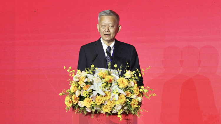 陳春聲：大灣區同宗同源一脈相承 嶺南文化是共同歷史文化基礎