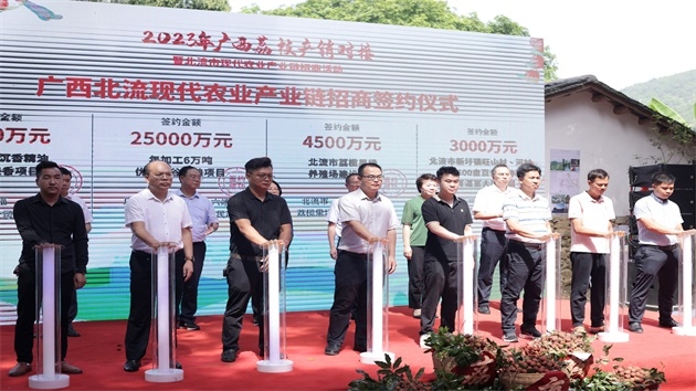 廣西：荔枝為媒 簽約現代農業產業鏈投資項目3.84億元