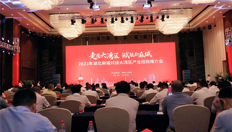  有片丨2023年湖北麻城對接大灣區深圳產業推介會在深舉行