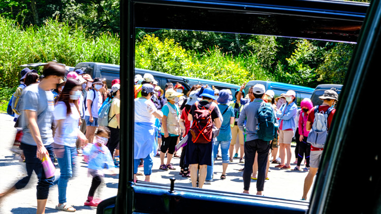 業界急盼台當局恢復赴陸團隊遊