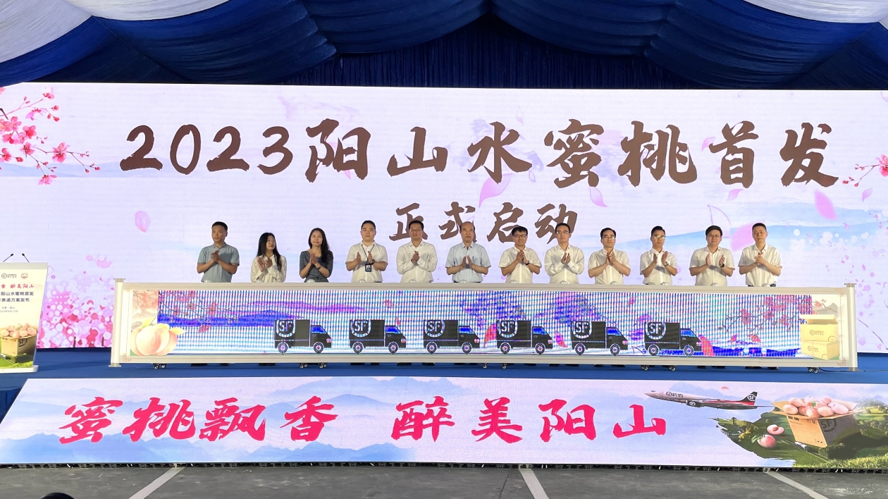 陽山水蜜桃上市 今年續供港