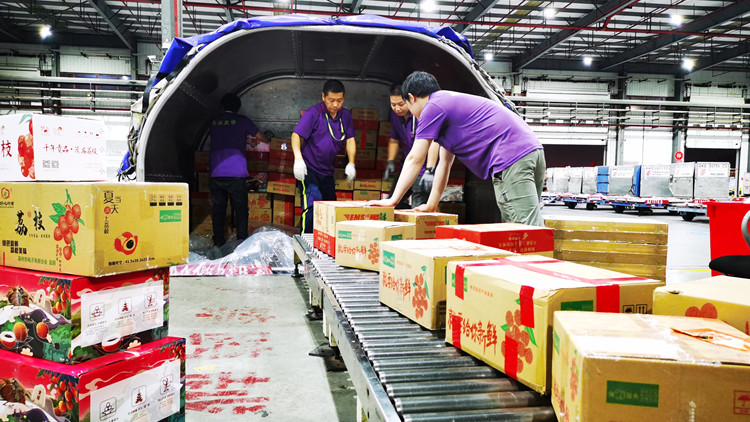 助「荔」運輸  搶「鮮」送達  深圳機場保障超3500噸嶺南荔枝遍銷全國、遠銷海外