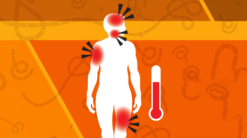 政府解除伊波拉和寨卡病毒戒備應變級別