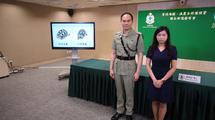 海關漁農署打擊瀕危物種走私 拘捕14人涉2200萬元